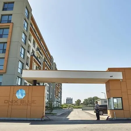 Onix Blue Mamaia Nord Navodari